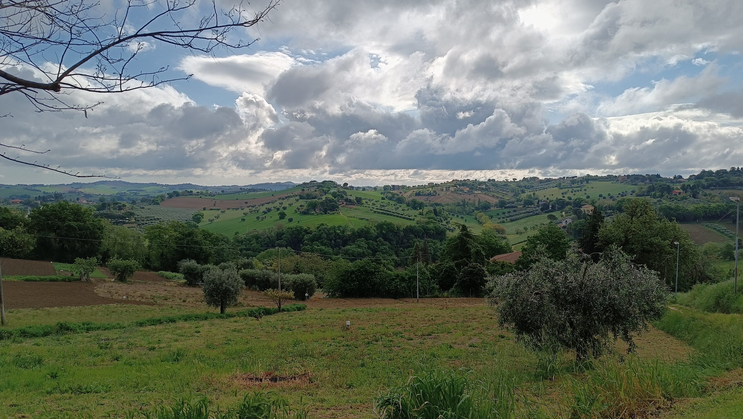 Macerata